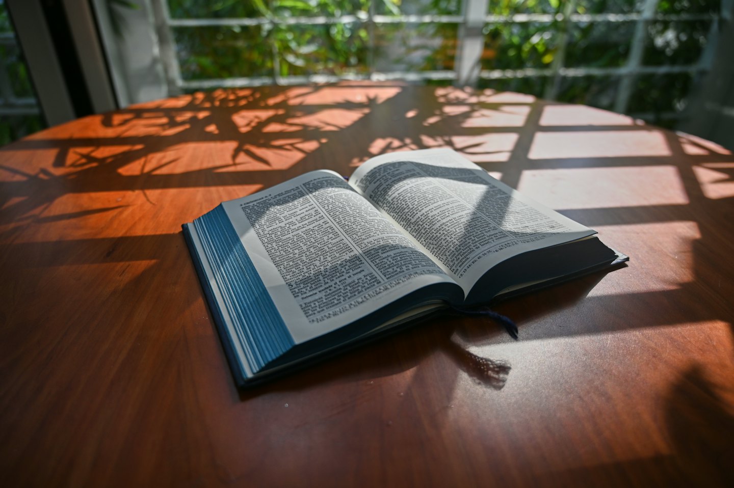 An open book with blue edges resting on a wooden table.